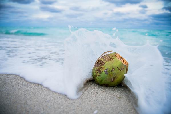 When Is Coconut Oil Lube Safe? When Should I Avoid It?